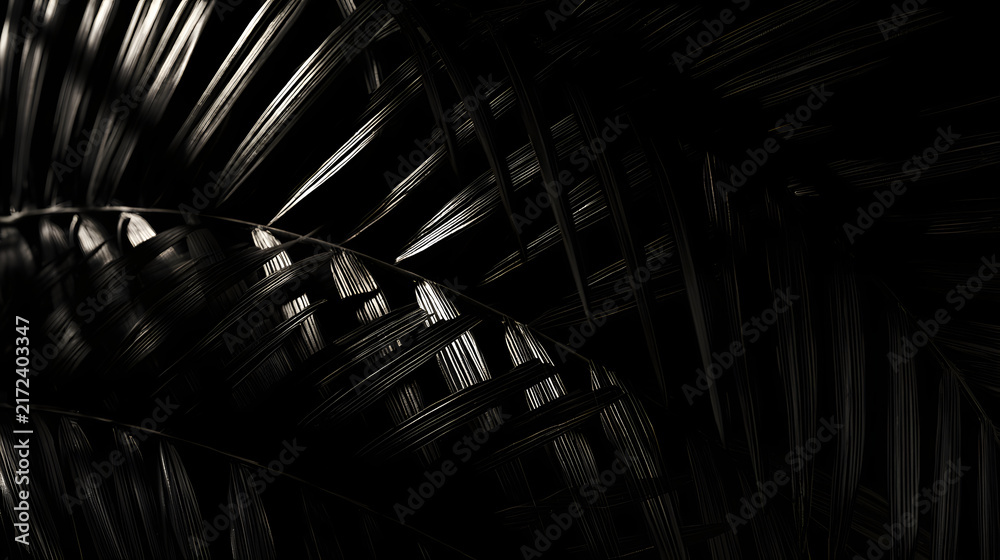Naklejka premium Intricate patterns of palm leaves create a mesmerizing play of light and shadow.