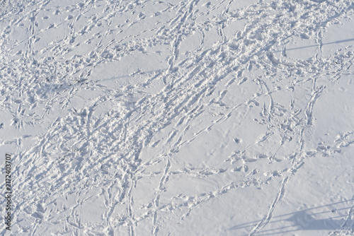 Принти на полотні Snow texture