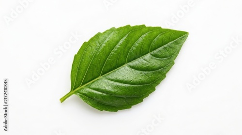 Fresh green leaf with detailed texture and veins isolated on a pure white background plant leaf foliage texture nature element leaf macro botanical detail vibrant green agriculture background