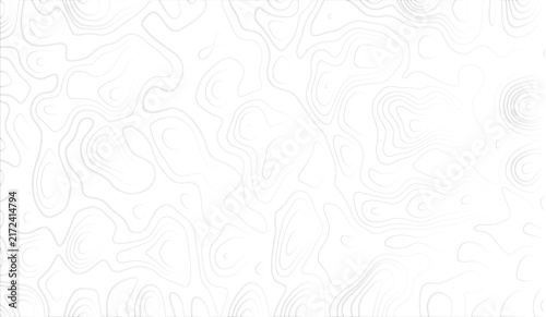 Topographic map contour lines, abstract black and white linear pattern representing elevation and terrain on a plain white background