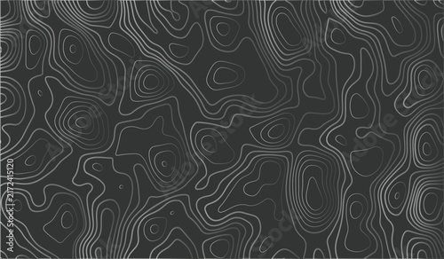 Topographic map contour lines in white on a dark charcoal gray background, abstract geographical elevation pattern with flowing organic shapes and concentric circles