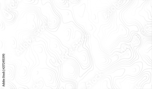 Topographic map contour lines pattern, abstract black and white geographic elevation lines on a plain white background