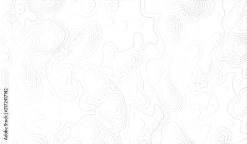 Topographic map contour lines, abstract black and white geographic elevation pattern with irregular organic shapes and thin line paths on a plain white background