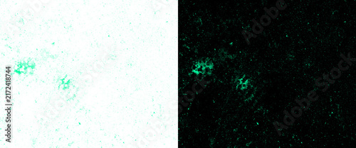 Foto Abstract bioluminescent texture with glowing green particles
