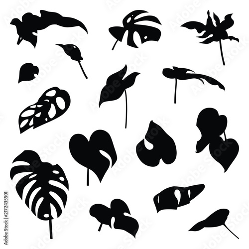 Vector collection set of ornamental leaf silhouettes.