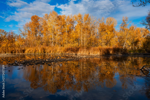 fall colors in Boise Idaho