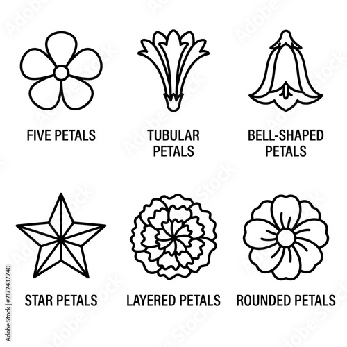 Flower petal shapes including five petals, tubular, bell-shaped, star-shaped, layered, and rounded types are presented in this educational botanical illustration collection.