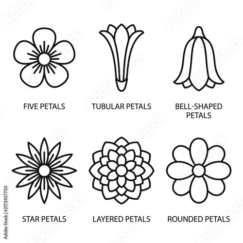Botanical petal varieties are displayed in this clean icon collection highlighting distinct floral geometries such as rounded, star, and bell-shaped configurations.