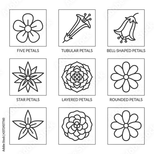 Flower petal shapes are categorized in this botanical icon set showing various floral structures including bell-shaped, tubular, layered, and star-like forms.