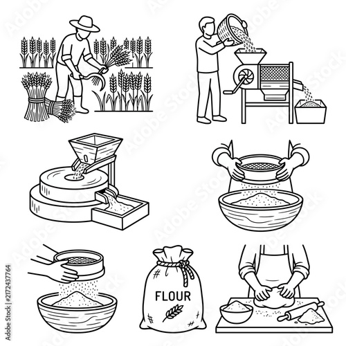 Grain production sequence diagrams depict the manual and industrial stages of transforming wheat from the field into prepared dough for artisanal bakery goods.