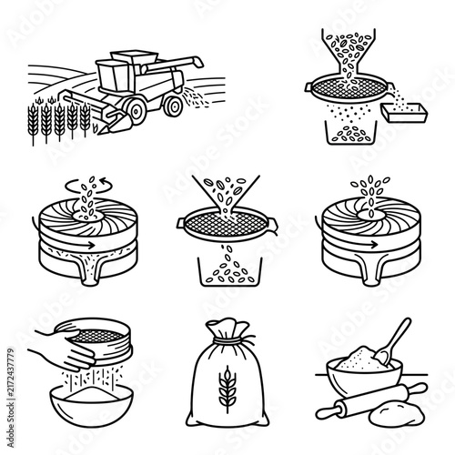 Grain processing steps display a detailed sequence from combine harvesting to flour milling and final dough preparation.
