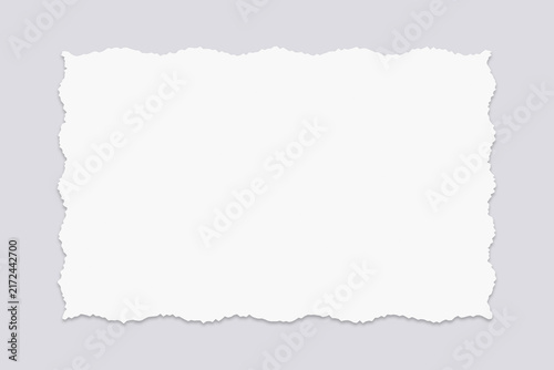 Blank Rectangular Piece of Torn Paper With Decorative Scalloped Edges for Creative Projects and Messaging Backgrounds