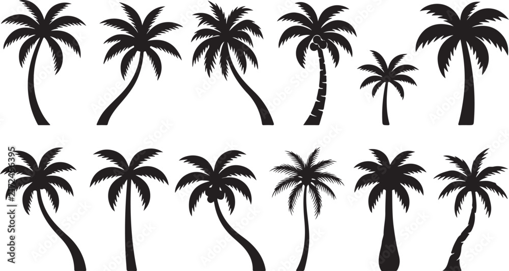 Fototapeta premium Set of black silhouette featuring various types of palm trees with different shapes and sizes isolated on a white background