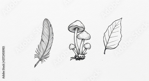 Nature illustrations: feather, mushrooms, and leaf minimalist line art