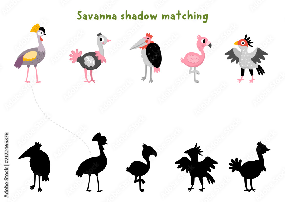 Naklejka premium Savanna shadow matching activity with wild birds. Safari puzzle with ostrich, crowned crane, flamingo. African savannah find correct silhouette printable worksheet, game with secretary bird, marabou