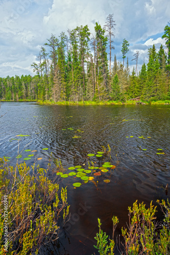 Quiet Light on a Bucolic Lake