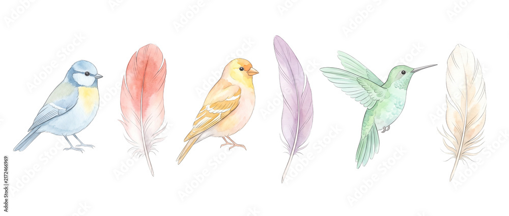 Fototapeta premium Watercolor bird feather illustration set featuring colorful songbirds, hummingbird, and soft plumes isolated on white background for delicate pastel spring art and design projects.