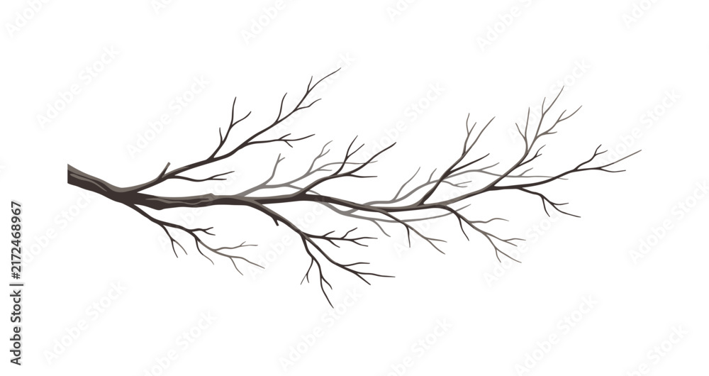 Fototapeta premium Bare tree branches extending across a white background