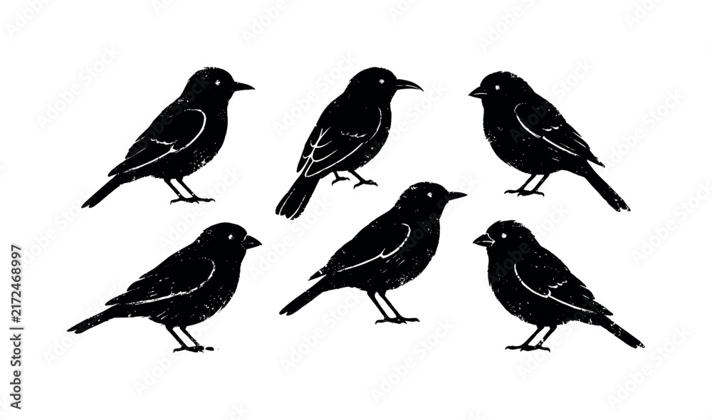 Naklejka premium Six black bird silhouettes with a textured, linocut style on white