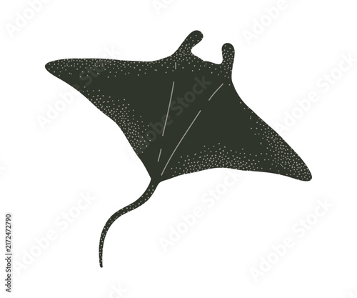A large sea ray, hand drawn. Illustration of a sea creature in a flat style.