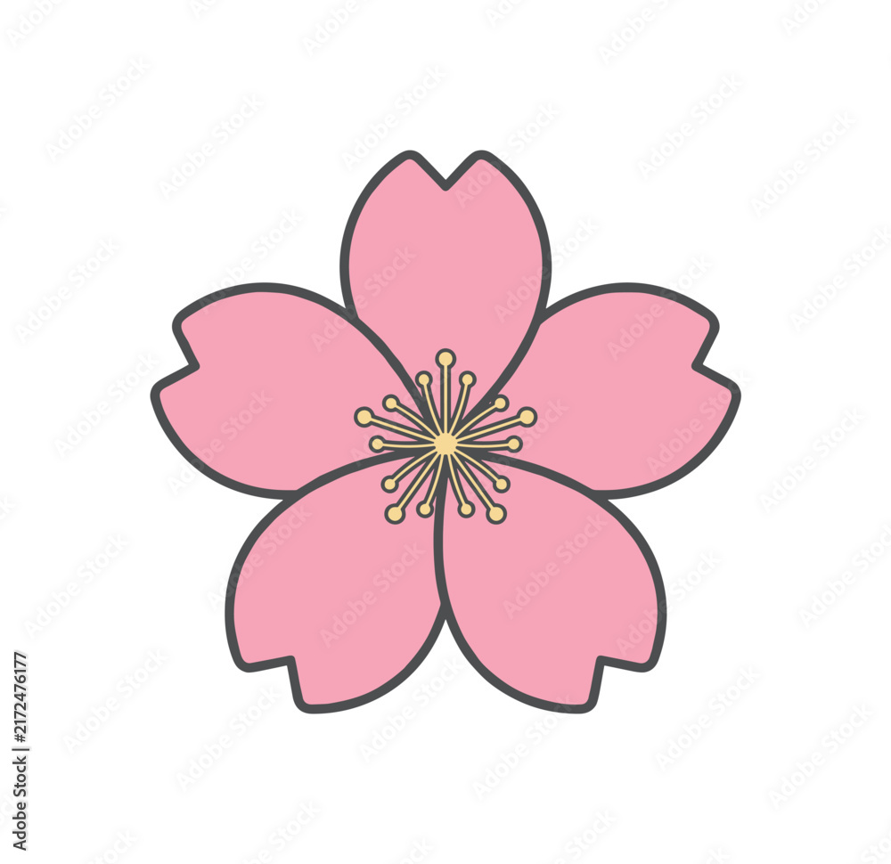 Fototapeta premium Simple pink cherry blossom flower illustration with delicate petals and stamen