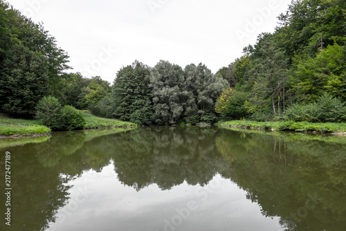 Small pond in a forest park