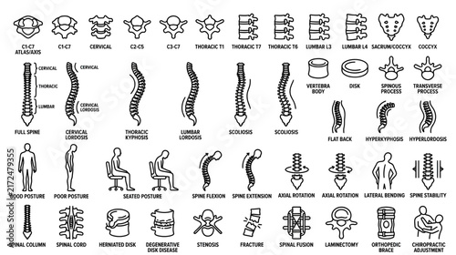 Spine Anatomy Icons and Posture Illustrations