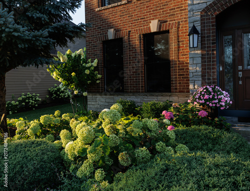 Canvas Print Lush late summer garden frames a beautiful brick and limestone house with green Incrediball hydrangea blooms, pink impatiens, sculpted shrubs and layered foliage glowing in warm golden sunlight