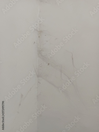 фотографія spider webs clinging to the corner of a white wall in an dirty old house