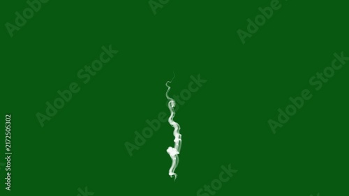 Thin white smoke rising upward,realistic white steam effect,seamless cinematic, textured mist overlay, green background effect,smoke plume floating gently,cinematic drifting vapor, slow motion, 4k