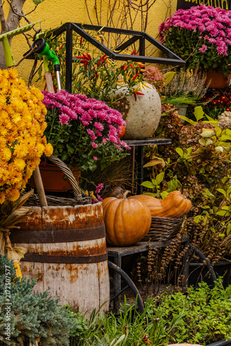 Obraz na płótnie pumpkins and flowers