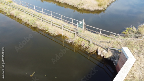 Aerial View of Lio Piccolo Marshlands in the Venice Lagoon