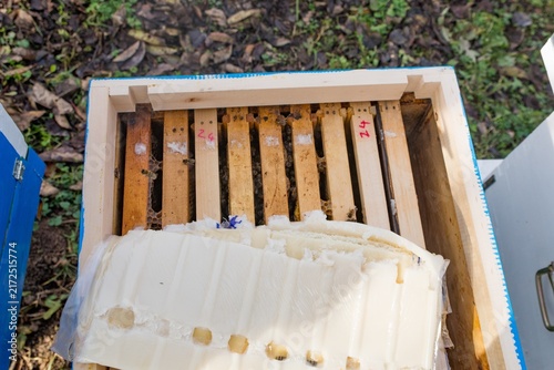 Top view of an open beehive with a lifted sugar fondant patty revealing the winter bee cluster
