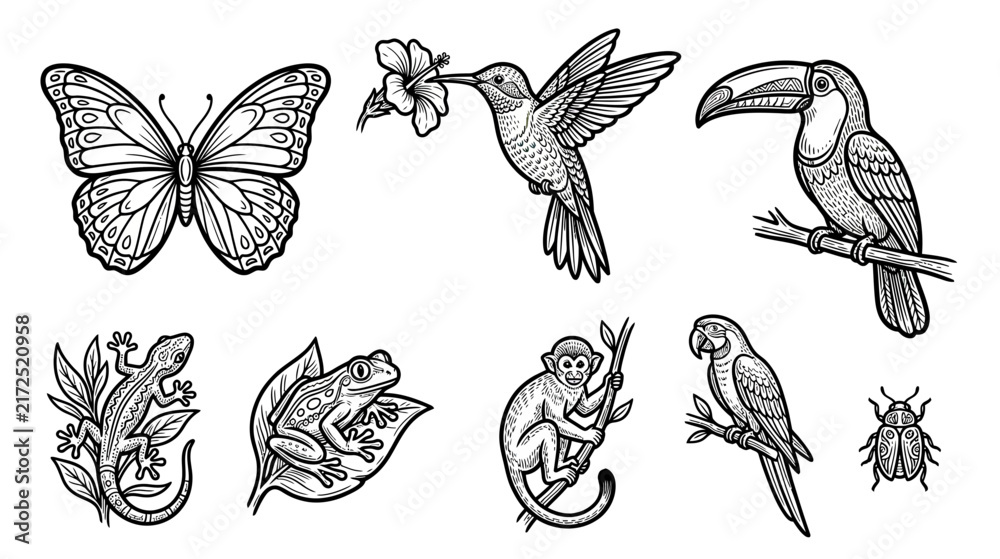Naklejka premium Exotic Wildlife Collection: Butterfly, Hummingbird, Toucan, Lizard, Frog, Monkey, Parrot, Beetle