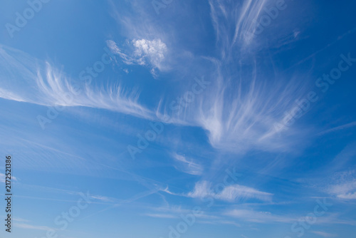 Beautiful white puffy cloud in strange shaped floating in blue sky, Cirrus clouds are short, detached, hair-like clouds found at high altitudes, Horizon nature background with free copy space.