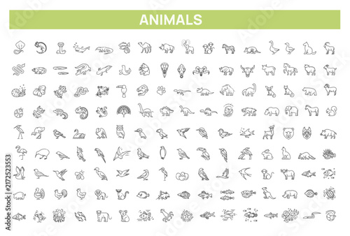 Animal icons. Vector outline icon set. Zoo