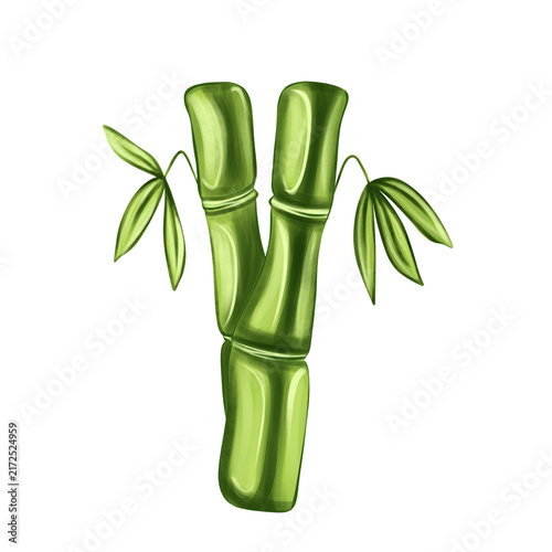 Foto Fresh green bamboo stems with leaves vector illustration