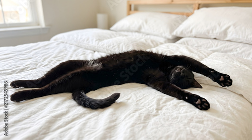 Black cat stretching on white bed sheet in morning routine