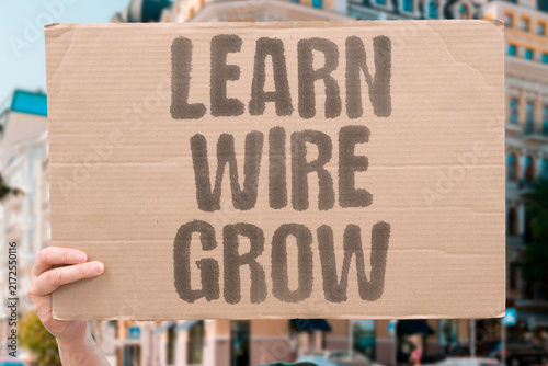 Cuadro en lienzo "Learn wire grow" New skill forms neural connections