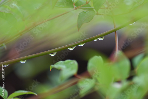 水滴