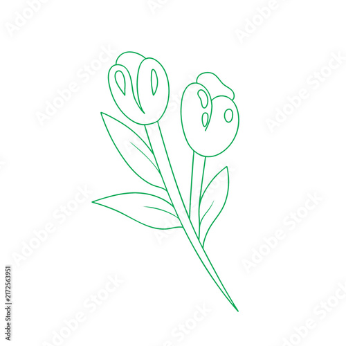 Coloring flowers