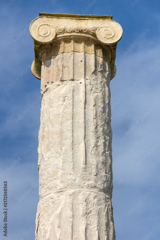 Fototapeta premium Ruins of Ancient Macedonian capital Pella, Greece
