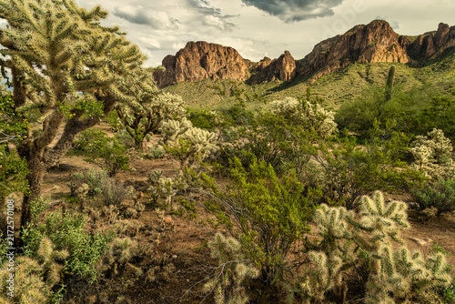 A cloudy desert sky