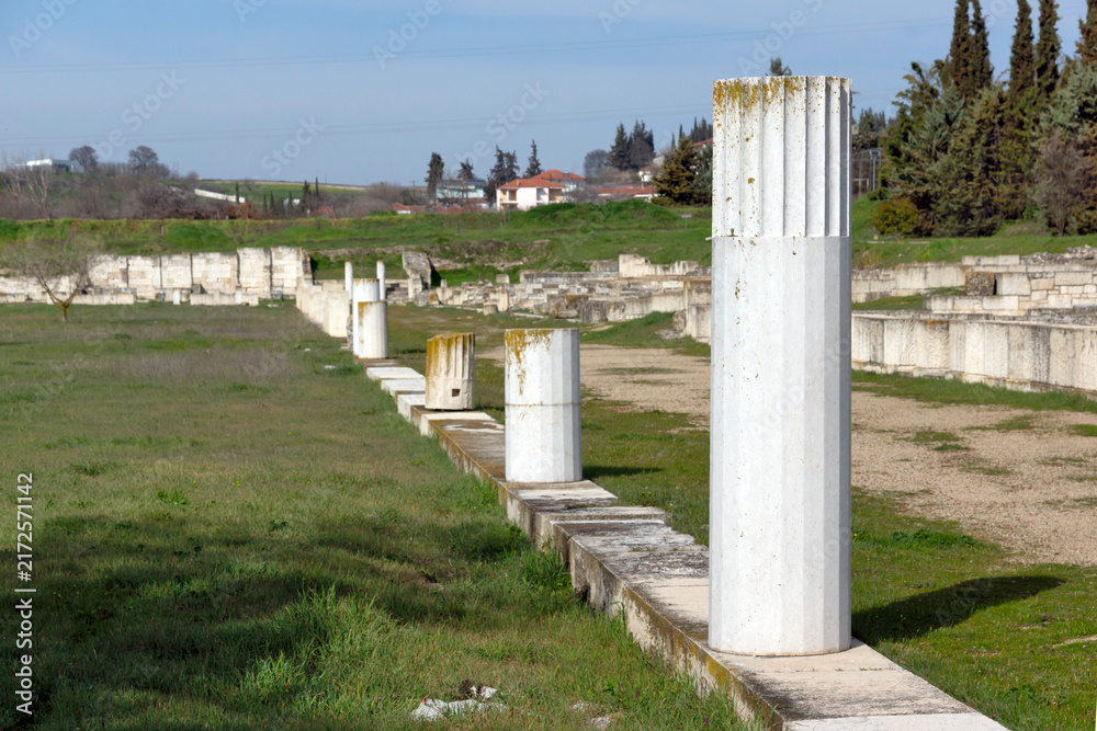 Naklejka premium Ruins of Ancient Macedonian capital Pella, Greece