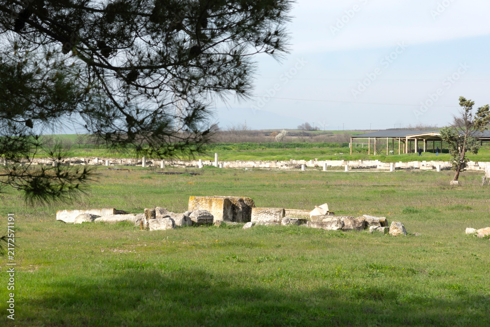 Naklejka premium Ruins of Ancient Macedonian capital Pella, Greece