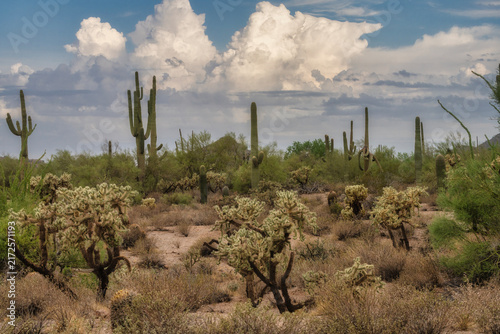 A cloudy desert sky