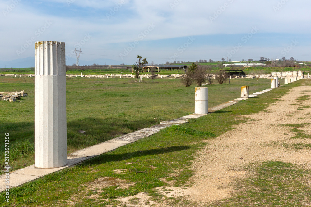 Naklejka premium Ruins of Ancient Macedonian capital Pella, Greece