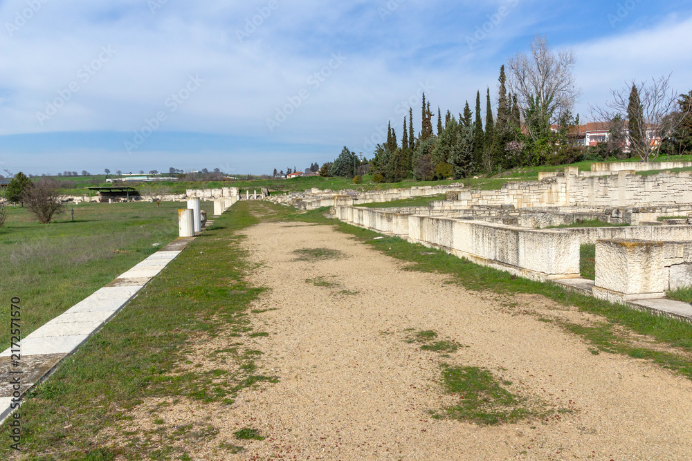 Naklejka premium Ruins of Ancient Macedonian capital Pella, Greece