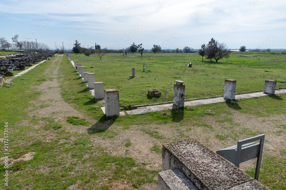 Naklejka premium Ruins of Ancient Macedonian capital Pella, Greece