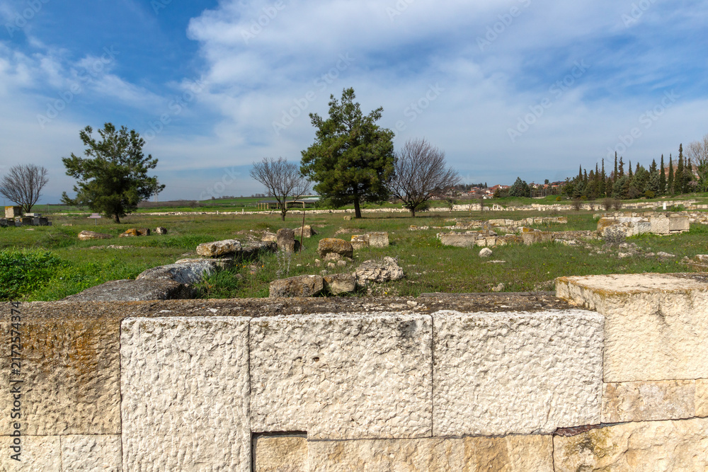Fototapeta premium Ruins of Ancient Macedonian capital Pella, Greece